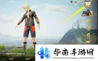 全民突击怎么公开个人信息啊 和平精英专属档案推荐