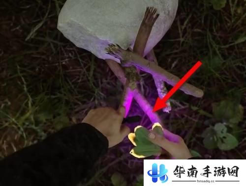 森林之子如何制作火堆 森林之子如何搭建火堆