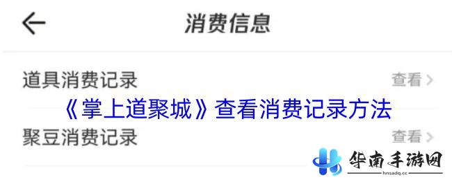 掌机小精灵如何查看自己充的钱 如何查看掌上道聚城消费记录