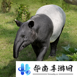 野兽领主新世界异兽图鉴