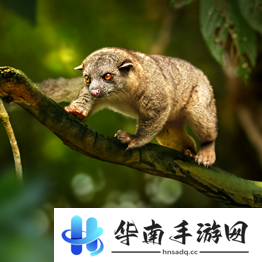 野兽领主新世界异兽图鉴