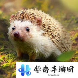 野兽领主新世界异兽图鉴