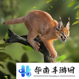 野兽领主新世界异兽图鉴