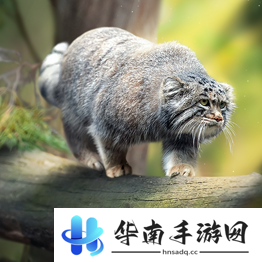 野兽领主新世界异兽图鉴