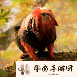 野兽领主新世界异兽图鉴