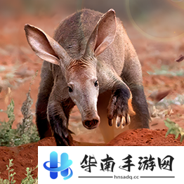 野兽领主新世界异兽图鉴