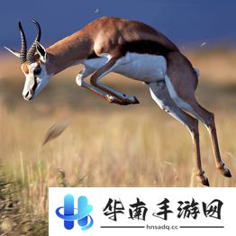 野兽领主新世界异兽图鉴