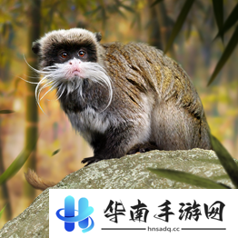 野兽领主新世界异兽图鉴