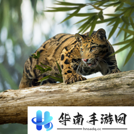野兽领主新世界异兽图鉴
