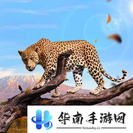 野兽领主新世界异兽图鉴