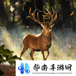 野兽领主新世界异兽图鉴