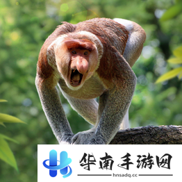 野兽领主新世界异兽图鉴