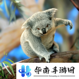 野兽领主新世界异兽图鉴