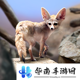 野兽领主新世界异兽图鉴