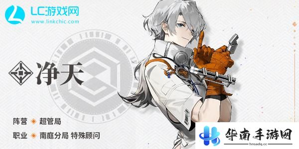 新月同行净天阵容推荐