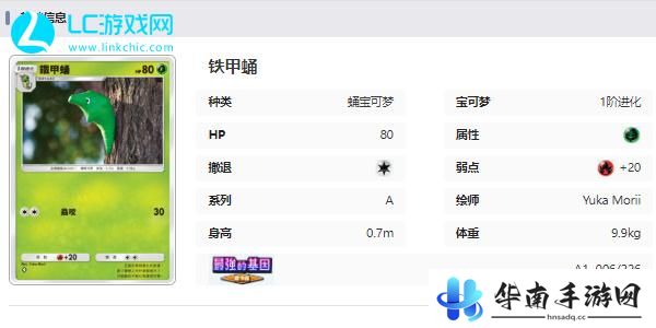 宝可梦TCG Pocket卡牌图鉴