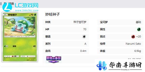 宝可梦TCG Pocket卡牌图鉴