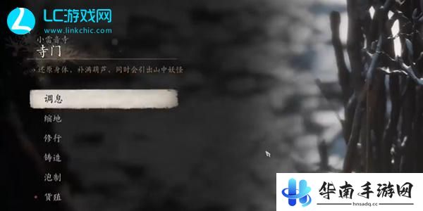 黑神话悟空不空精魄怎么获得