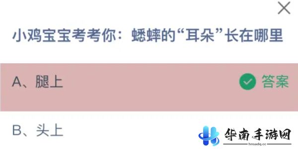 蚂蚁庄园今日答案8.31