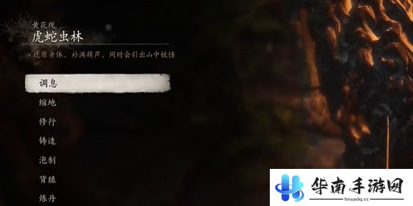 黑神话悟空虎蛇虫林打坐位置在哪