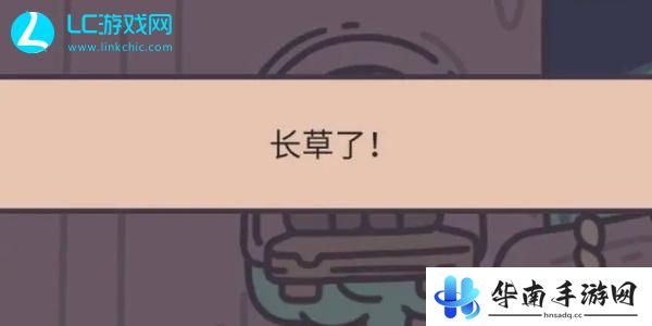 橡子屋长草了怎么办