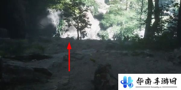 黑神话悟空虎蛇虫林打坐位置在哪