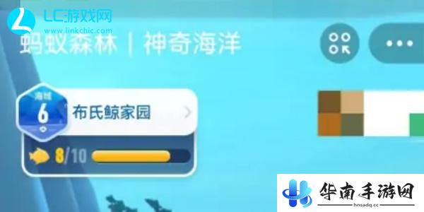 神奇海洋答案合集2024