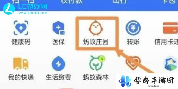 蚂蚁新村攻略大全