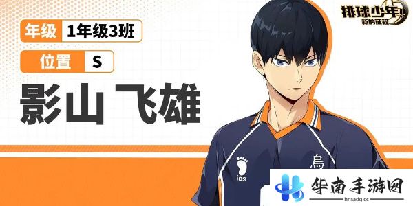 排球少年人物介绍大全