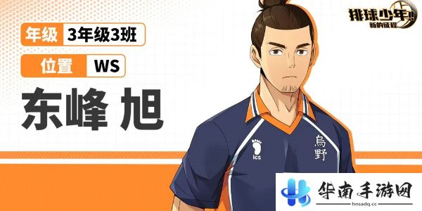 排球少年人物介绍大全