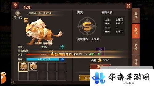 魔幻世界的风云史诗战场 《战火纪元》评测5